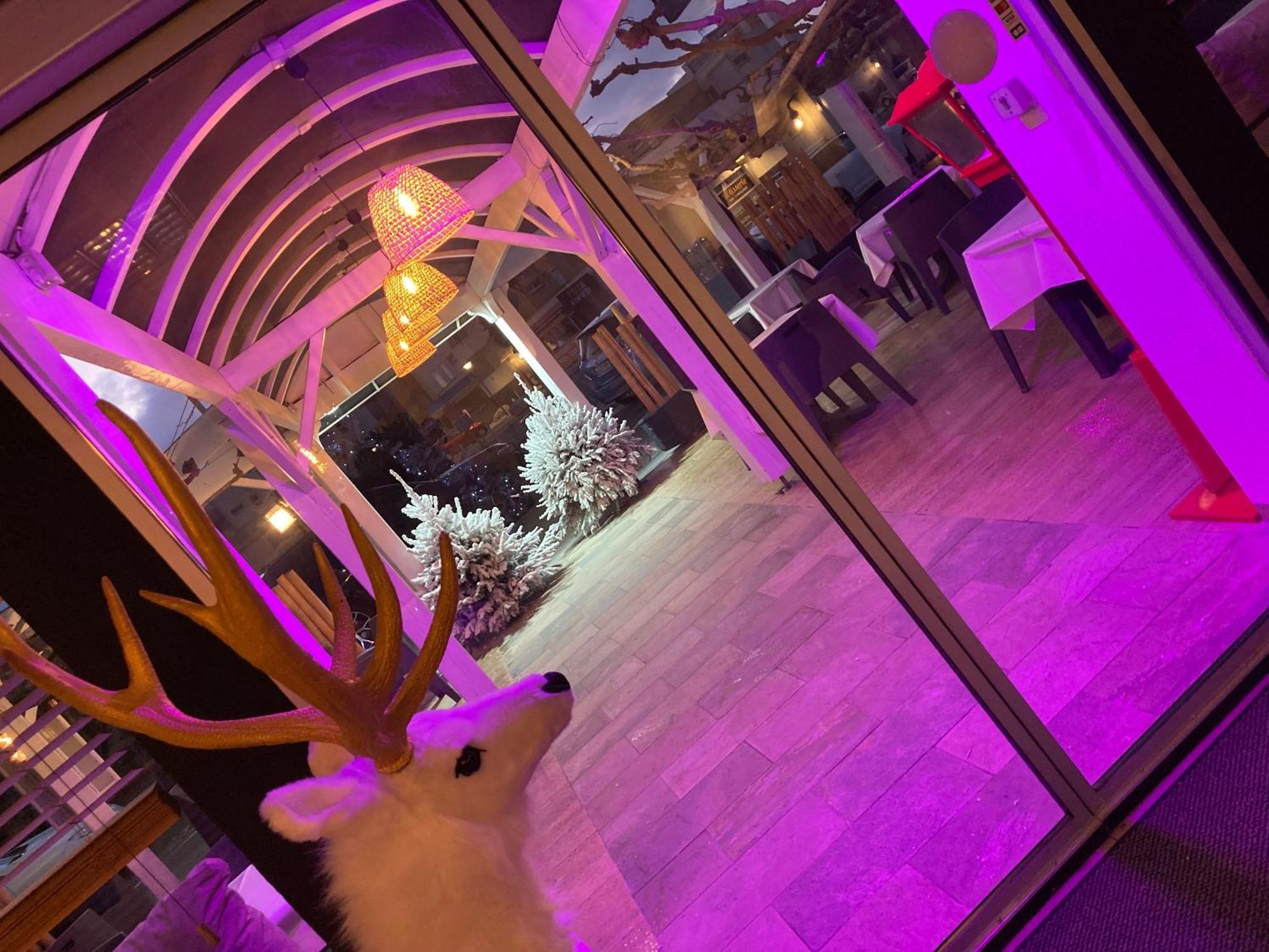 לה ברקרה Hotel De La Mer מראה חיצוני תמונה